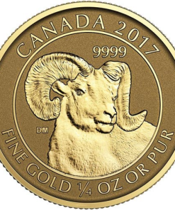 2017 1/4 oz Canadian Gold Big Horn Sheep Reverse Proof Coin