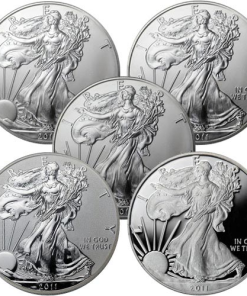 2011 American Silver Eagle 25th Anniversary 5-Coin Set (Box + CoA)