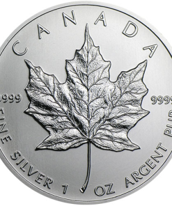 Canadian Silver Maple Leaf