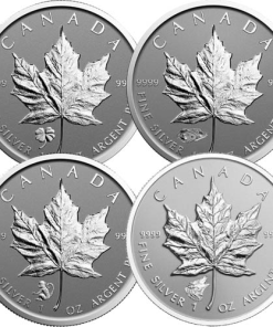 1 oz Canadian Silver Maple Leaf Coin (Varied Condition, Varied Privy, Random Year)
