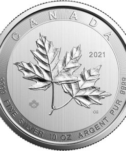 2021 10 oz Canadian Silver Magnificent Maple Leaf Coin (BU)