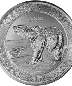 2020 1/2 oz Canadian Polar Bear Silver Coin