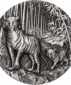 2022 2 oz Antique Australian Silver Lunar Tiger Coin (Box + CoA)