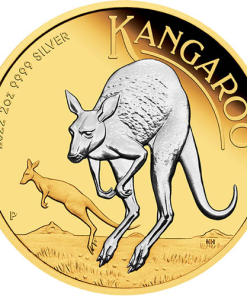 2022 2 oz Australian Silver Kangaroo Coin (Reverse Gilded, Box + CoA)