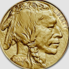American Gold Buffalo Coin